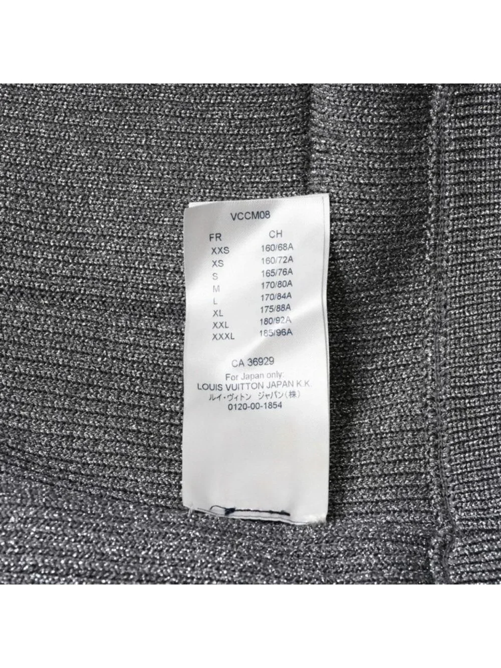 Louis Vuitton brand louis
